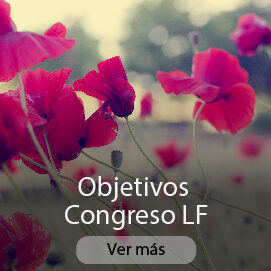 obj-02